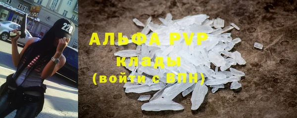 дживик Богородск