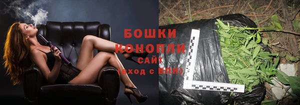 дживик Богородск