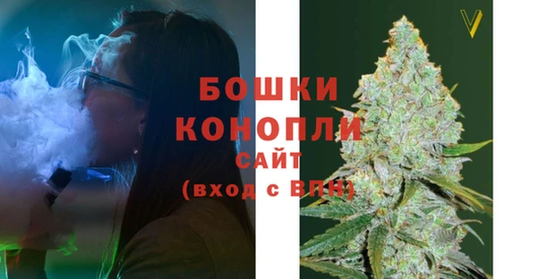 дживик Богородск