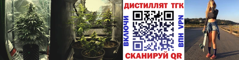 omg зеркало  продажа наркотиков  Яровое  ТГК Wax 