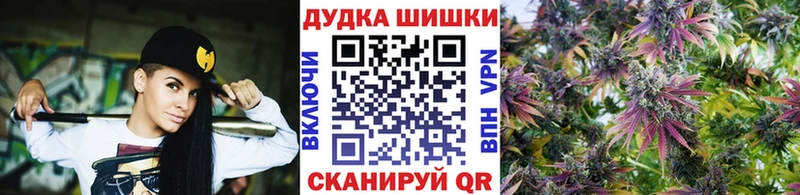 Конопля SATIVA & INDICA  где можно купить   Яровое 